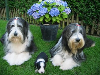 3generaties.jpg