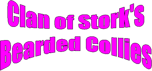 Clan of Stork's
Bearded Collies